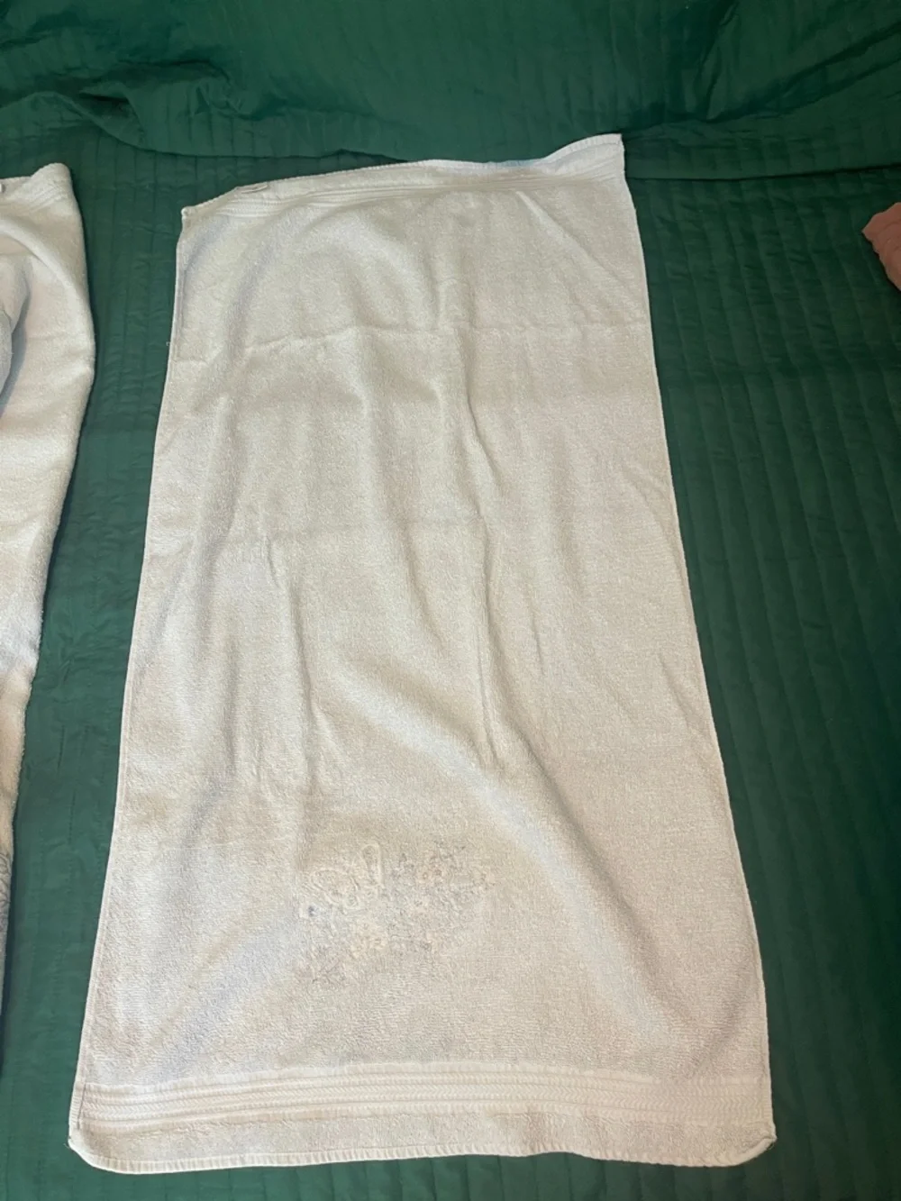 Vintage Bath Towels Set of 2 Light Blue Buttery on Branch 40” x 21”